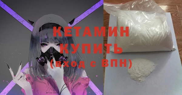 крисы Алексин