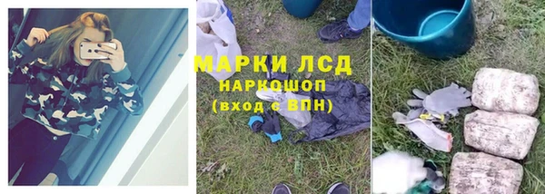 крисы Алексин