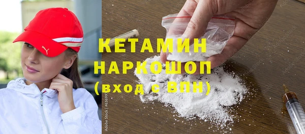 крисы Алексин