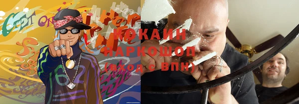крисы Алексин