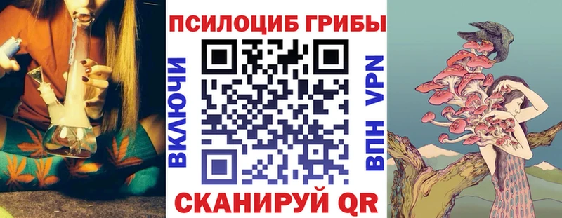 Псилоцибиновые грибы прущие грибы  дарнет шоп  Светлоград 